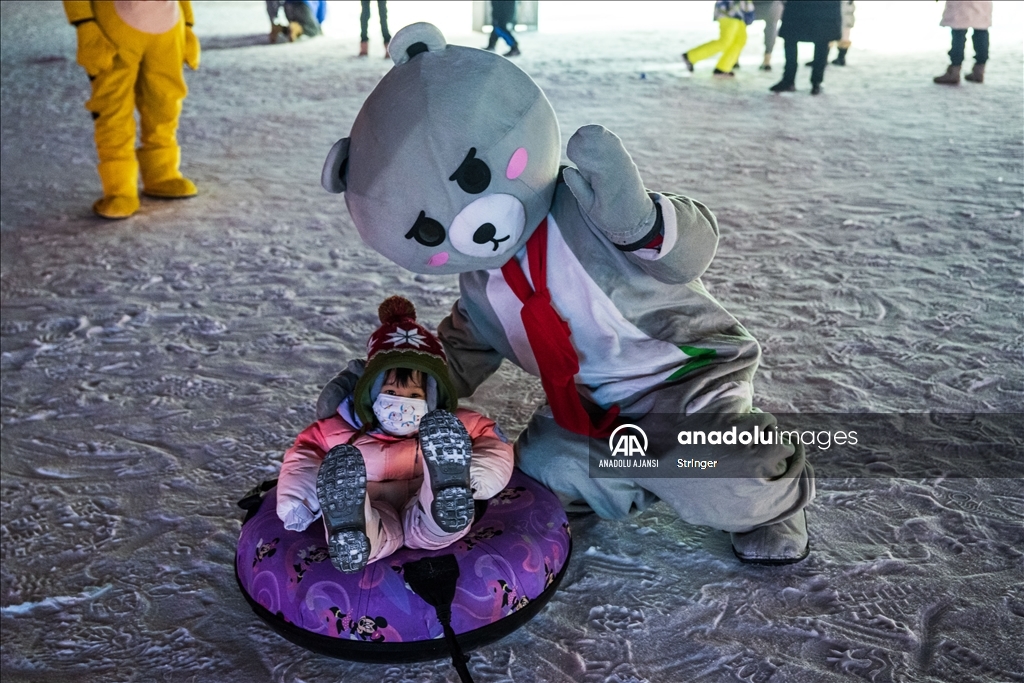 Harbin Uluslararası Buz ve Kar Heykel Festivali