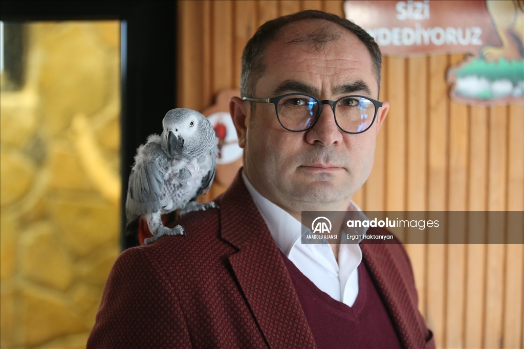 Kayseri'deki hayvanat bahçesi, ziyaretçilerini tropik kuşların cıvıltılarıyla ağırlıyor