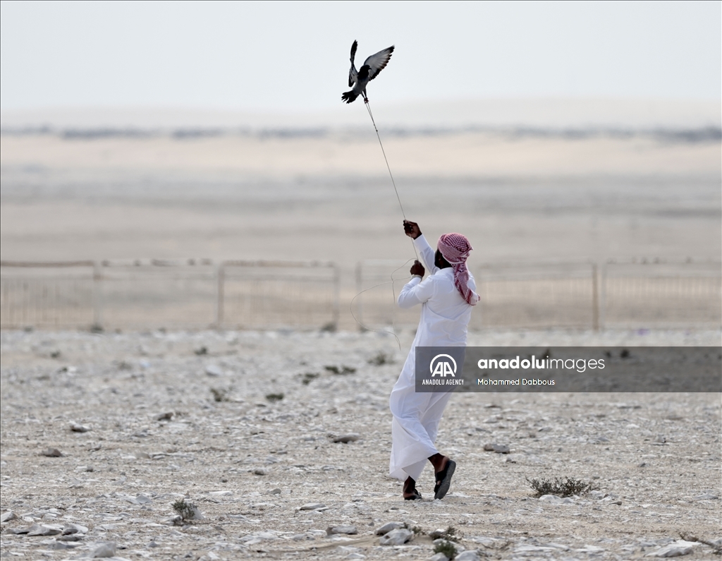 "مرمي 2023" في قطر.. مهرجان عالمي للصيد بالصقور
