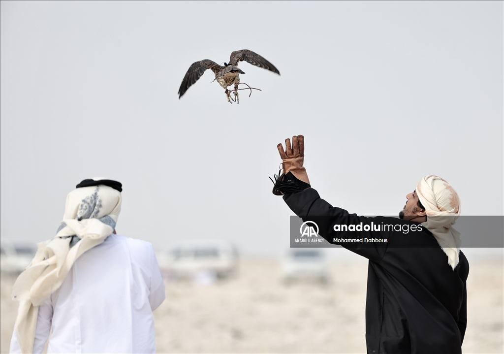 "مرمي 2023" في قطر.. مهرجان عالمي للصيد بالصقور