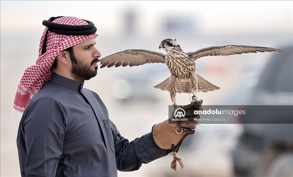 "مرمي 2023" في قطر.. مهرجان عالمي للصيد بالصقور