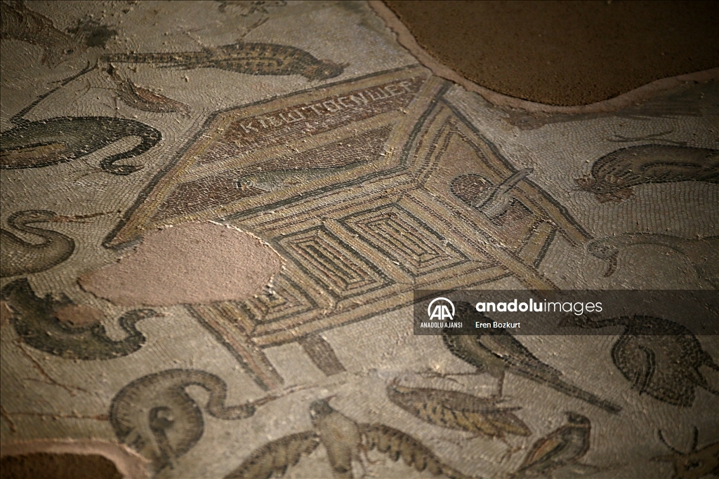 Hippokamposlara binen Erosların mozaiği Adana'da sergileniyor