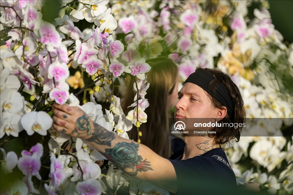 Londra'da Orkide Festivali için Kew Garden'da hazırlıklar devam ediyor