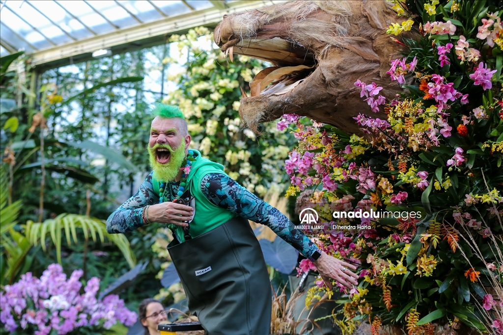 Londra'da Orkide Festivali için Kew Garden'da hazırlıklar devam ediyor