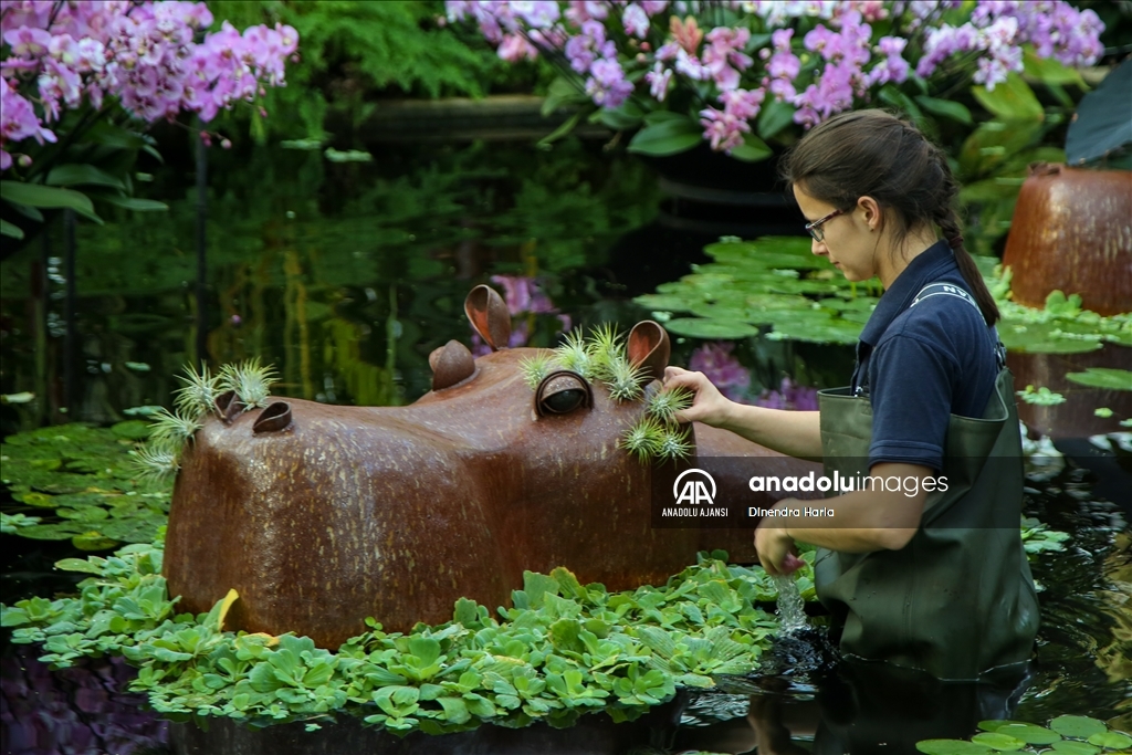 Londra'da Orkide Festivali için Kew Garden'da hazırlıklar devam ediyor