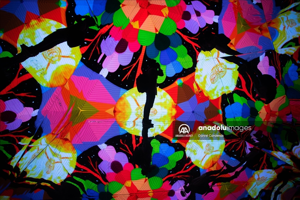 A mind-bending odyssey of colors, structures, and crazy-quilt patterns, “Metamorfosis” by Spanish artist Okuda San Miguel in Mexico City is a feast for the eyes for pop surrealism lovers