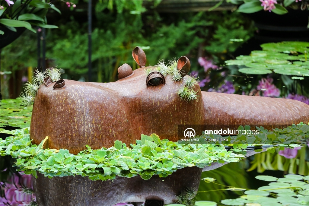 Londra'da Orkide Festivali için Kew Garden'da hazırlıklar devam ediyor