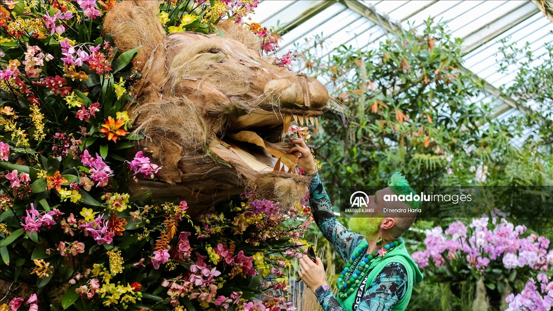 Londra'da Orkide Festivali için Kew Garden'da hazırlıklar devam ediyor
