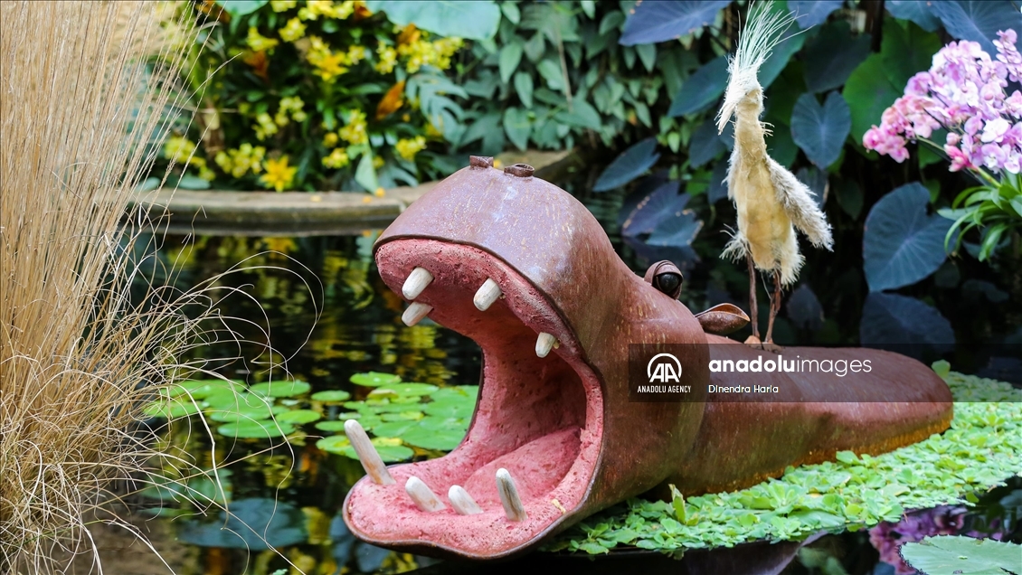 The Orchid Festival 2023 at London’s famed Kew Gardens takes its