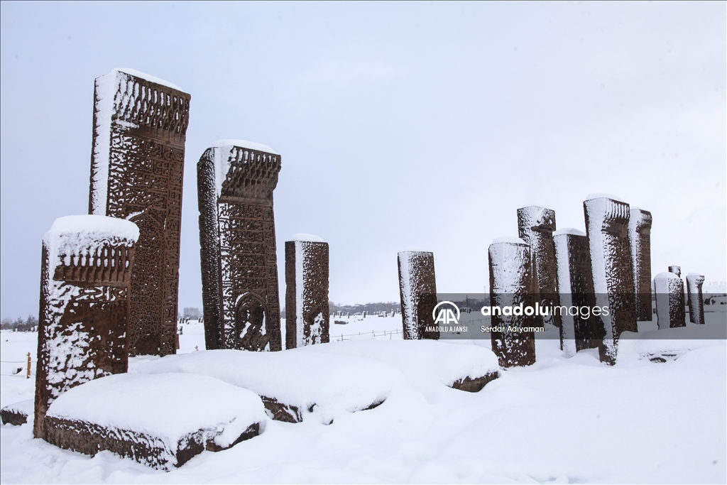 Bitlis'te tarihi yapılar karla kaplandı