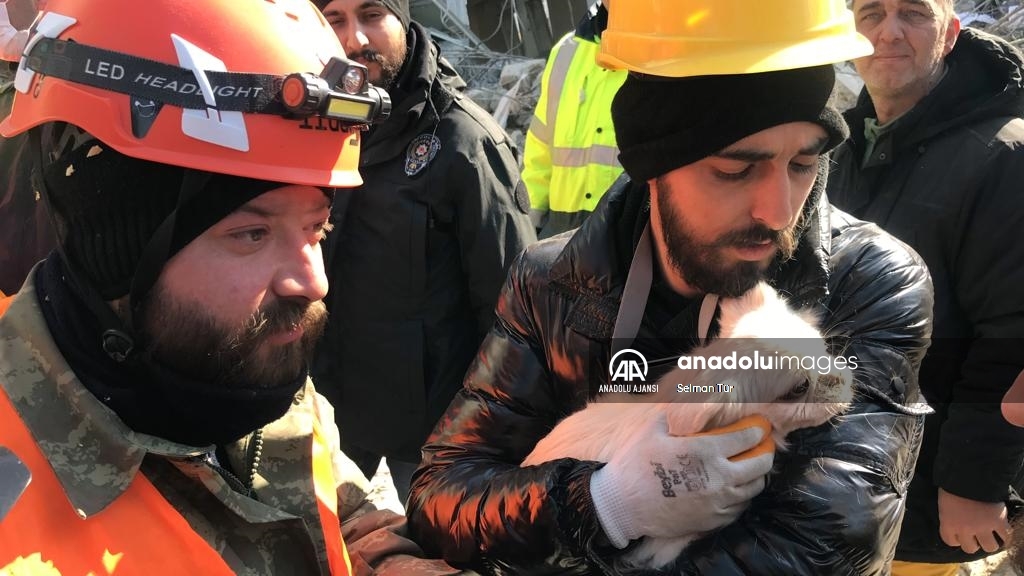 Kahramanmaraş merkezli depremler