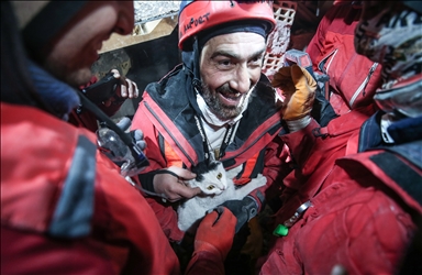 Un bello gatito fue rescatado en Turquía de entre los escombros