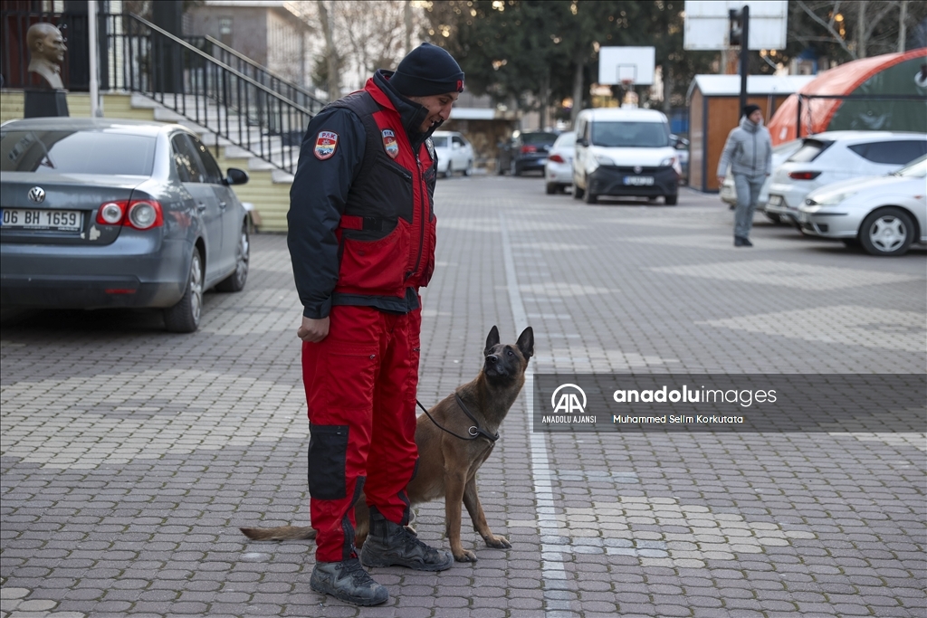 PAK bünyesindeki 4 arama kurtarma köpeği 74 kişinin kurtarılmasını sağladı