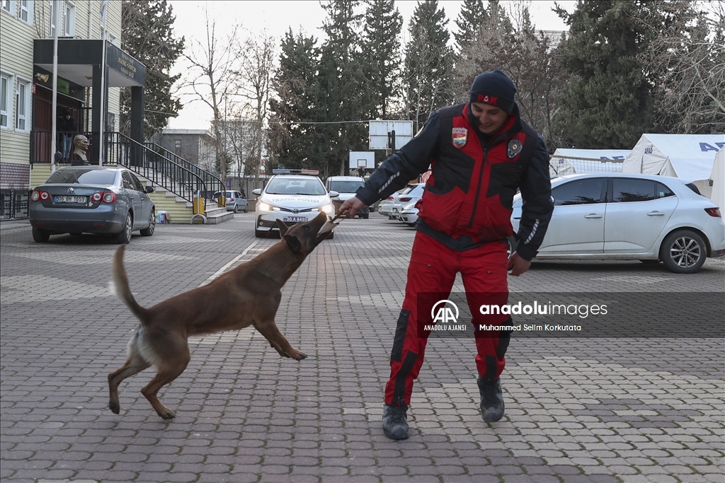 PAK bünyesindeki 4 arama kurtarma köpeği 74 kişinin kurtarılmasını sağladı