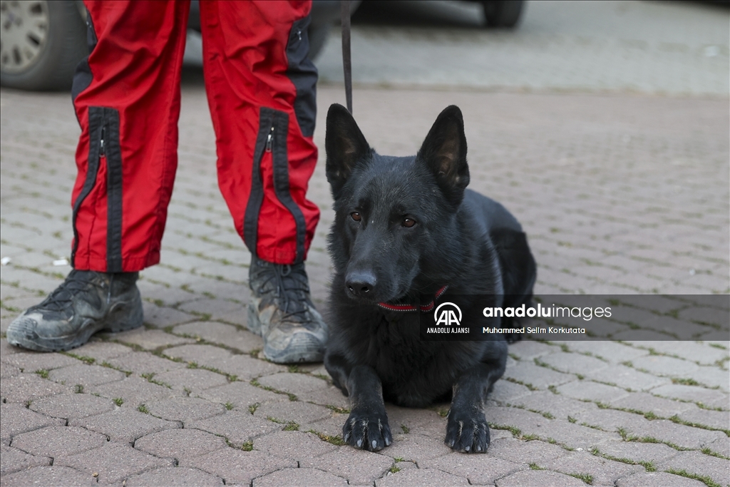 PAK bünyesindeki 4 arama kurtarma köpeği 74 kişinin kurtarılmasını sağladı