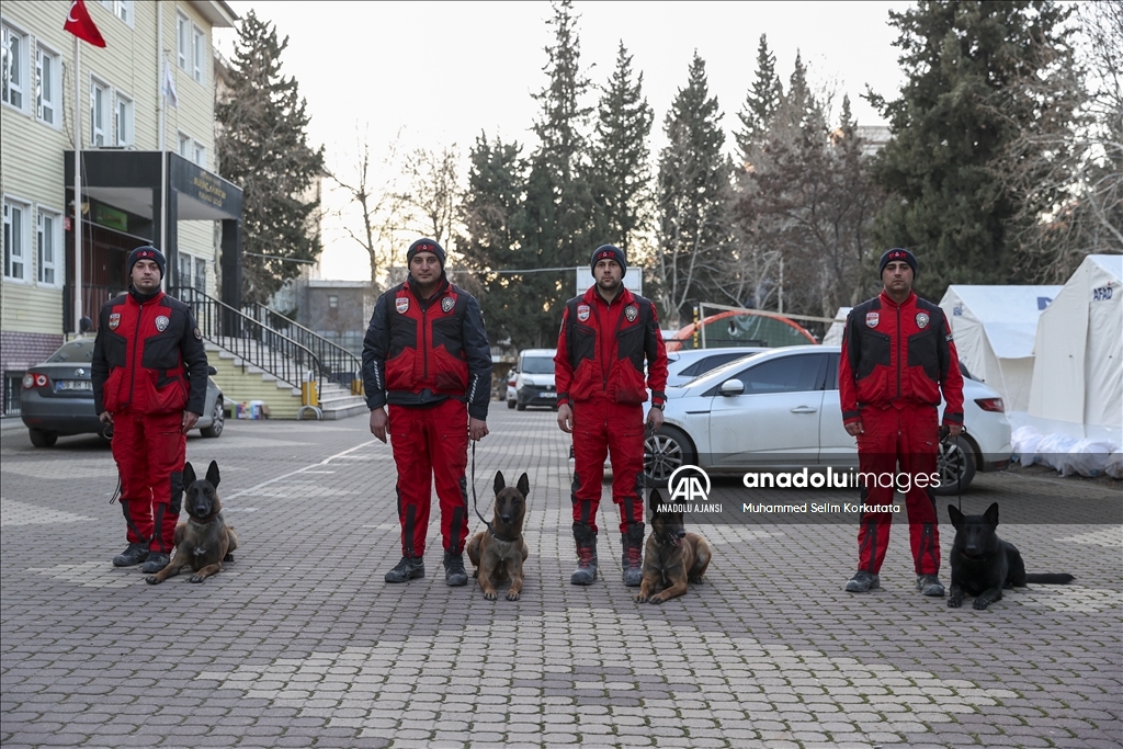 PAK bünyesindeki 4 arama kurtarma köpeği 74 kişinin kurtarılmasını sağladı