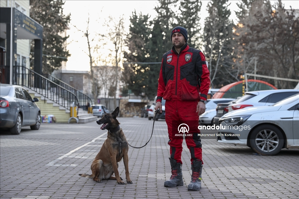 PAK bünyesindeki 4 arama kurtarma köpeği 74 kişinin kurtarılmasını sağladı