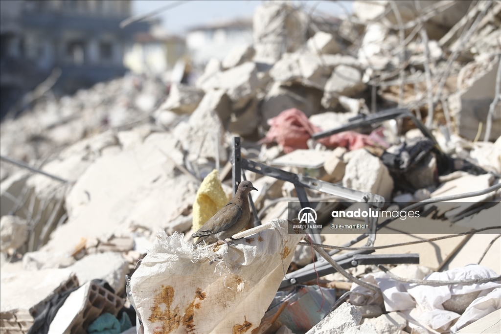 Kahramanmaraş merkezli depremlerden etkilenen Hatay