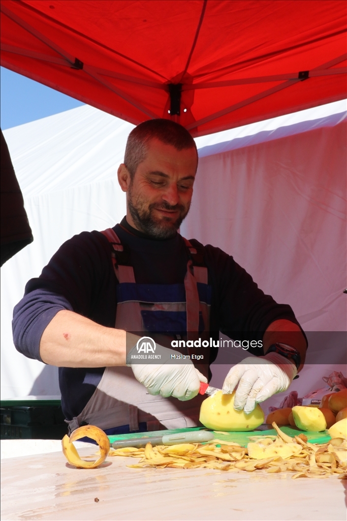 داوطلبان اروپایی در مناطق زلزله‌زده ترکیه غذا توزیع می‌کنند