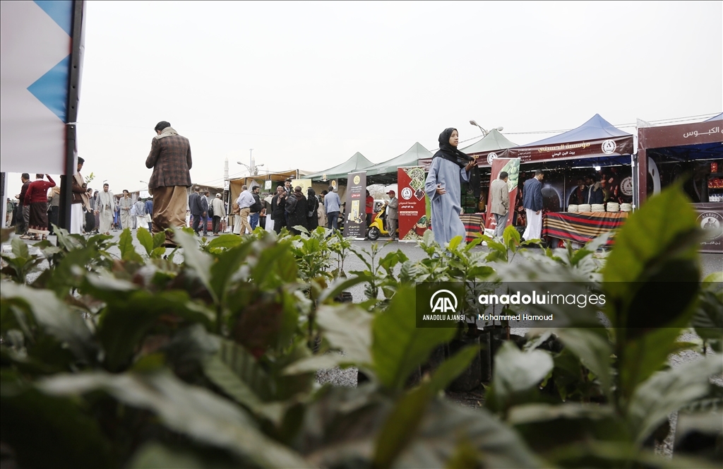 Yemen'de Kahve Festivali