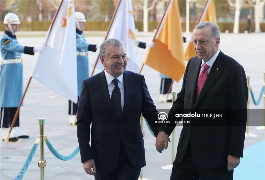 Cumhurbaşkanı Erdoğan, Özbekistan Cumhurbaşkanı Mirziyoyev ile görüştü