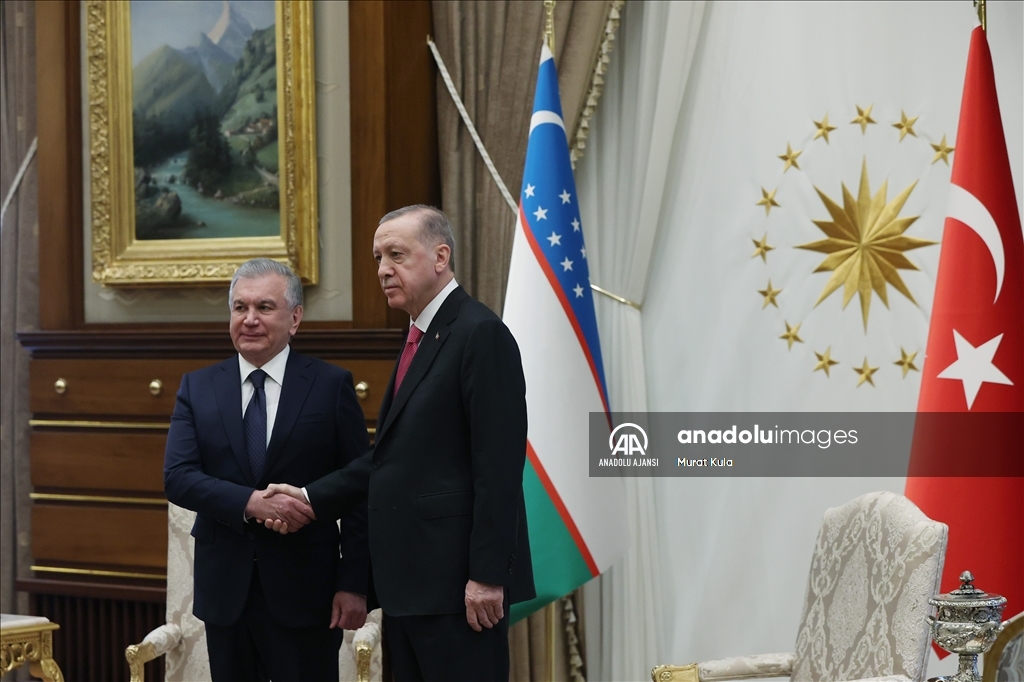 Cumhurbaşkanı Erdoğan, Özbekistan Cumhurbaşkanı Mirziyoyev ile görüştü