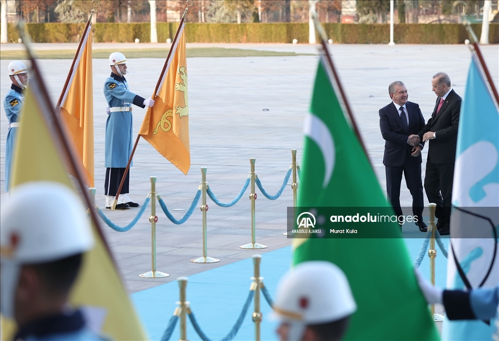 Cumhurbaşkanı Erdoğan, Özbekistan Cumhurbaşkanı Mirziyoyev ile görüştü