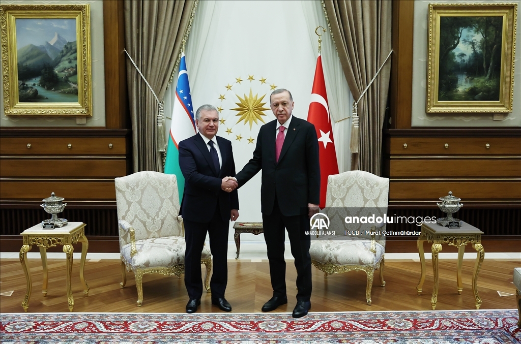 Cumhurbaşkanı Erdoğan, Özbekistan Cumhurbaşkanı Mirziyoyev ile görüştü