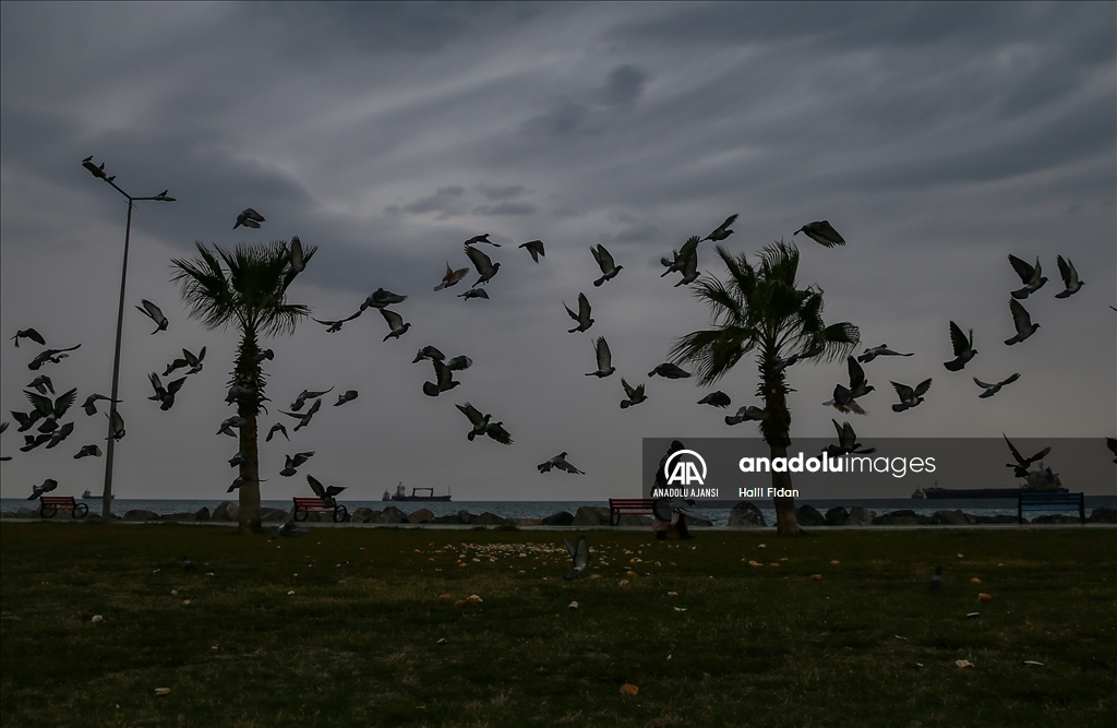 Depremlerin vurduğu İskenderun'da yaralar sarılıyor