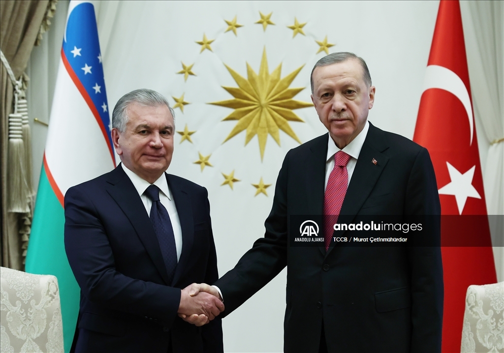 Cumhurbaşkanı Erdoğan, Özbekistan Cumhurbaşkanı Mirziyoyev ile görüştü