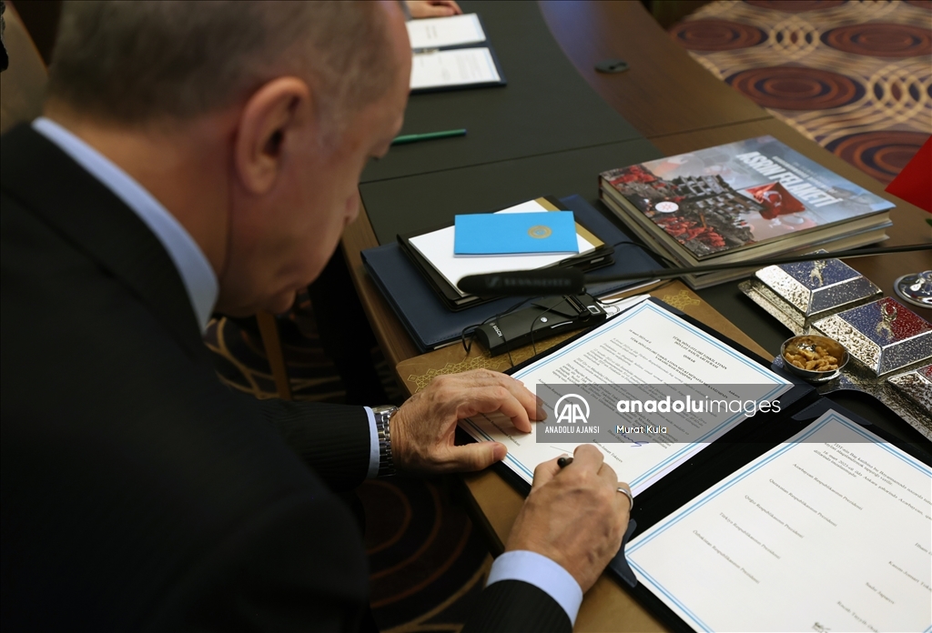 Türk Devletleri Teşkilatı Olağanüstü Zirvesi
