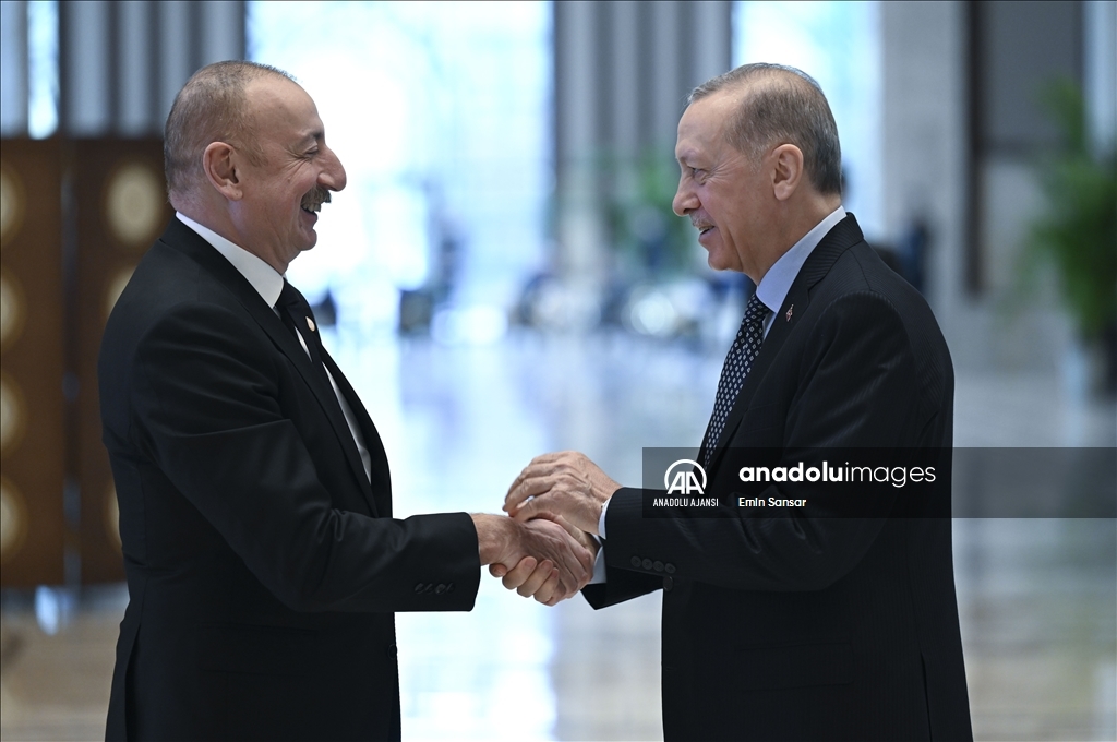 Türk Devletleri Teşkilatı Olağanüstü Zirve Toplantısı