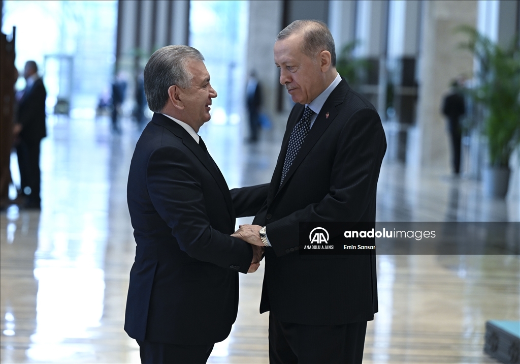 Türk Devletleri Teşkilatı Olağanüstü Zirve Toplantısı