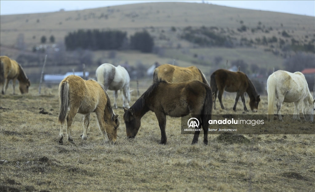 Serbia's Sandzak region hosts natural beauties and legends