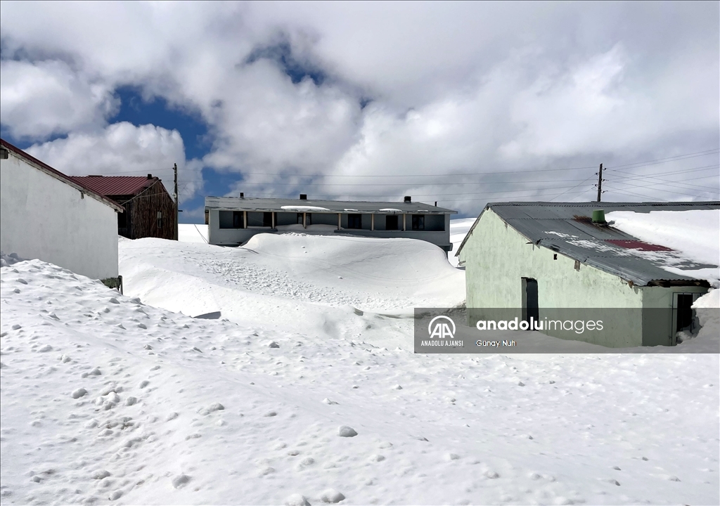 Ardahan'ın yüksek kesimlerinde kar yağışı etkili oldu