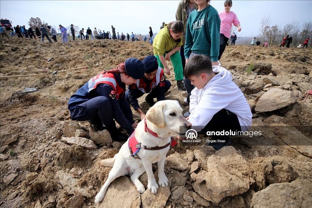 Depremde hayatını kaybedenler için Trakya'da hatıra ormanları oluşturuldu