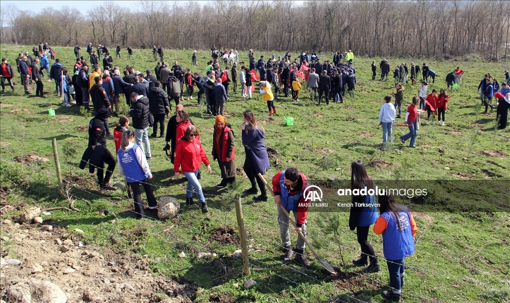 Sinop'ta depremde hayatını kaybedenler için hatıra ormanı oluşturuldu