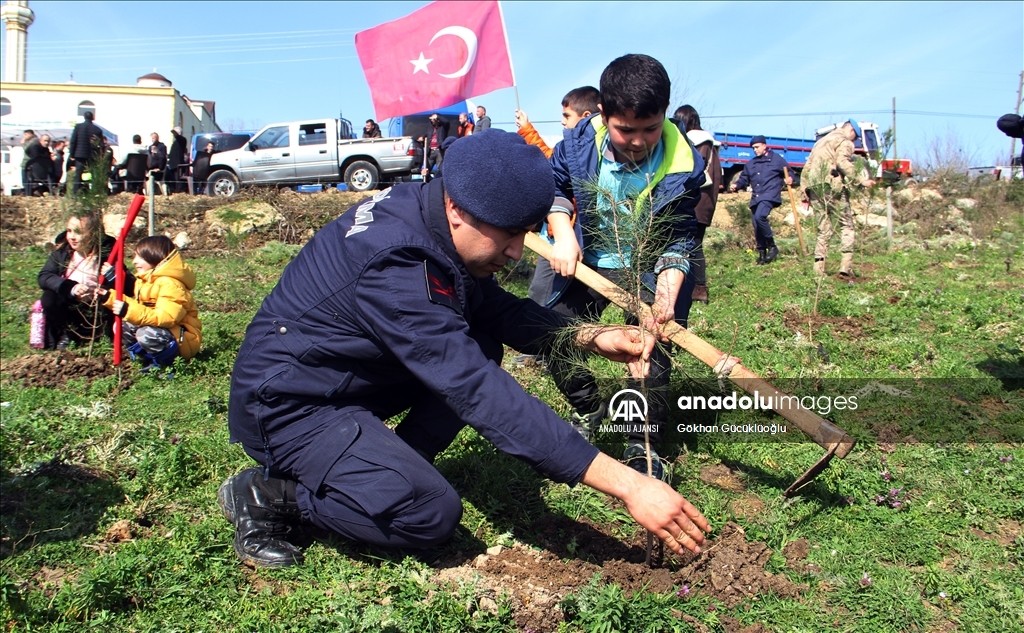 Sinop'ta depremde hayatını kaybedenler için hatıra ormanı oluşturuldu