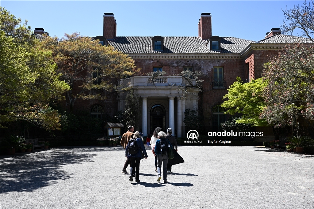 Trees blossom at Filoli Historic House & Garden in Woodside of California