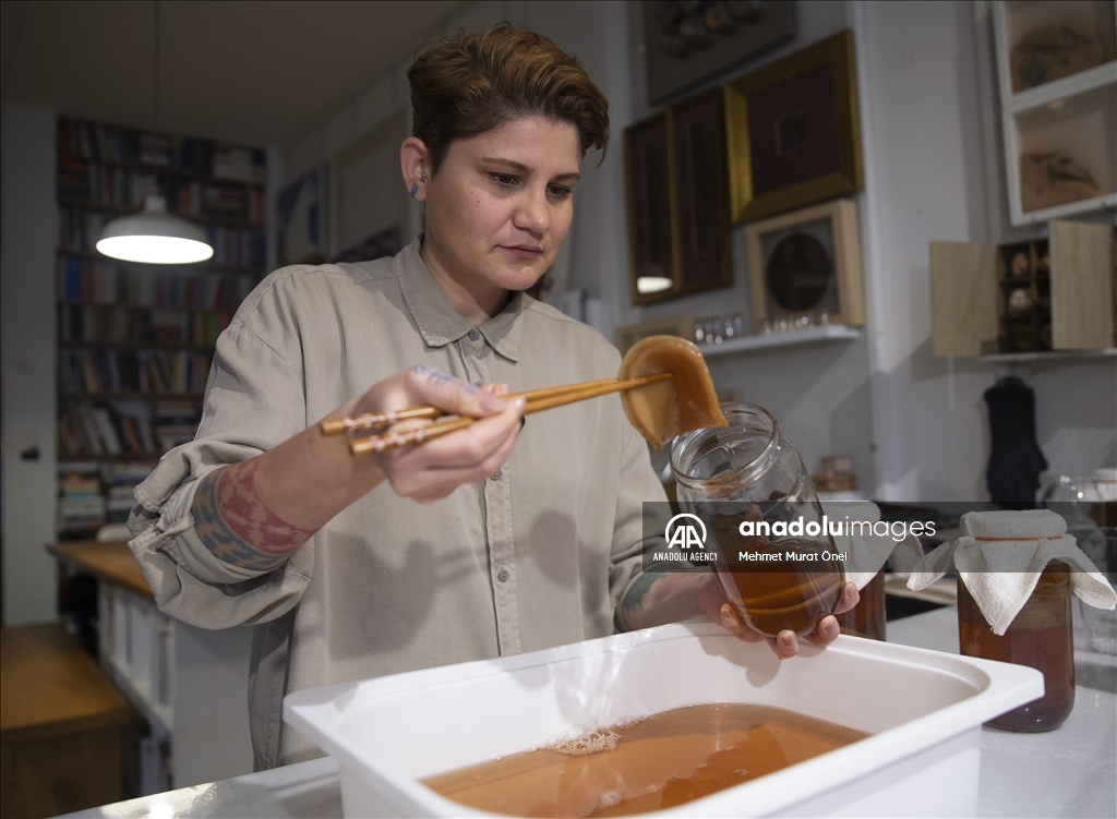 خلق آثار هنری با استفاده از مواد طبیعی توسط هنرمند ترکیه‌ای