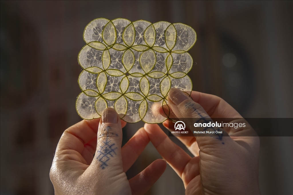 خلق آثار هنری با استفاده از مواد طبیعی توسط هنرمند ترکیه‌ای