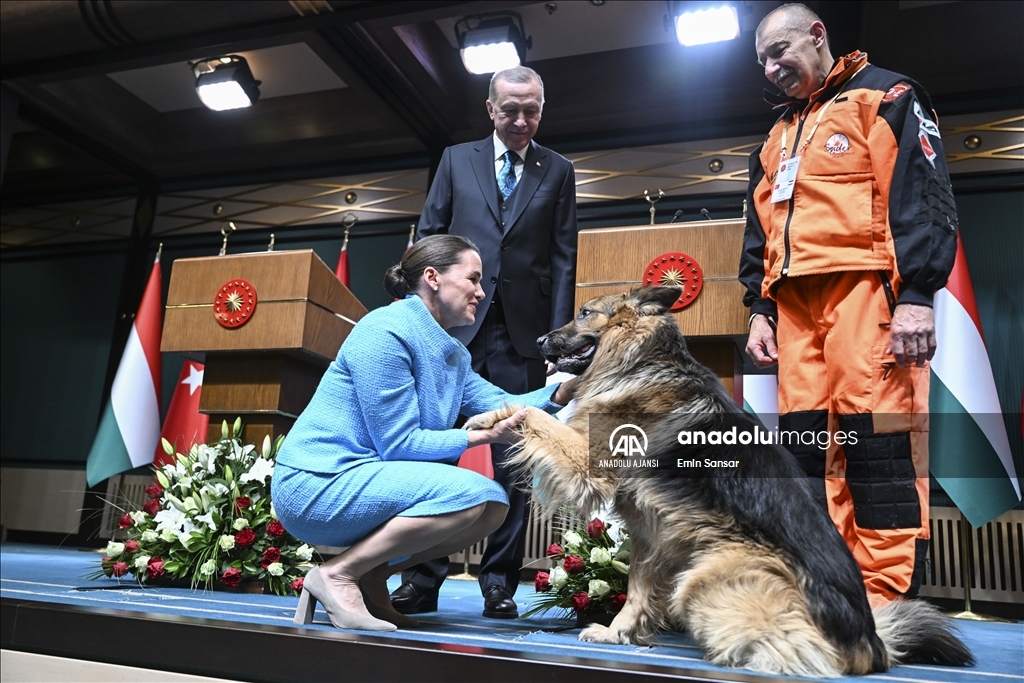 Cumhurbaşkanı Erdoğan, Macaristan Cumhurbaşkanı Novak ile ortak basın toplantısı düzenledi