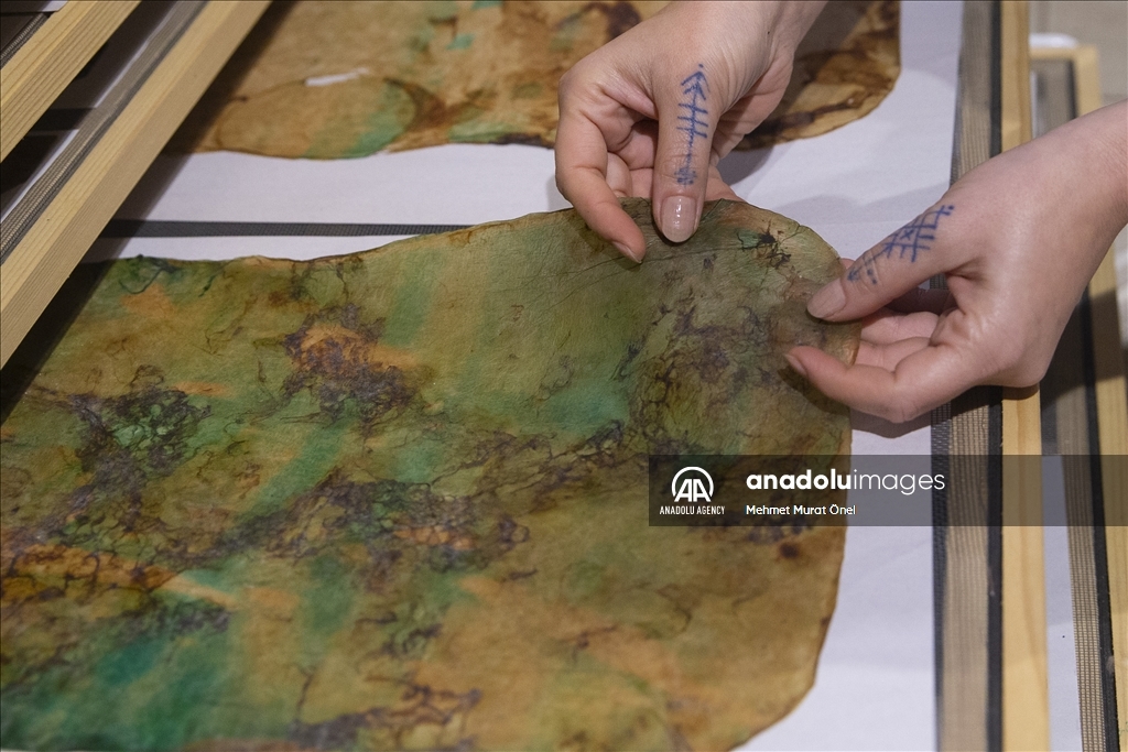 خلق آثار هنری با استفاده از مواد طبیعی توسط هنرمند ترکیه‌ای