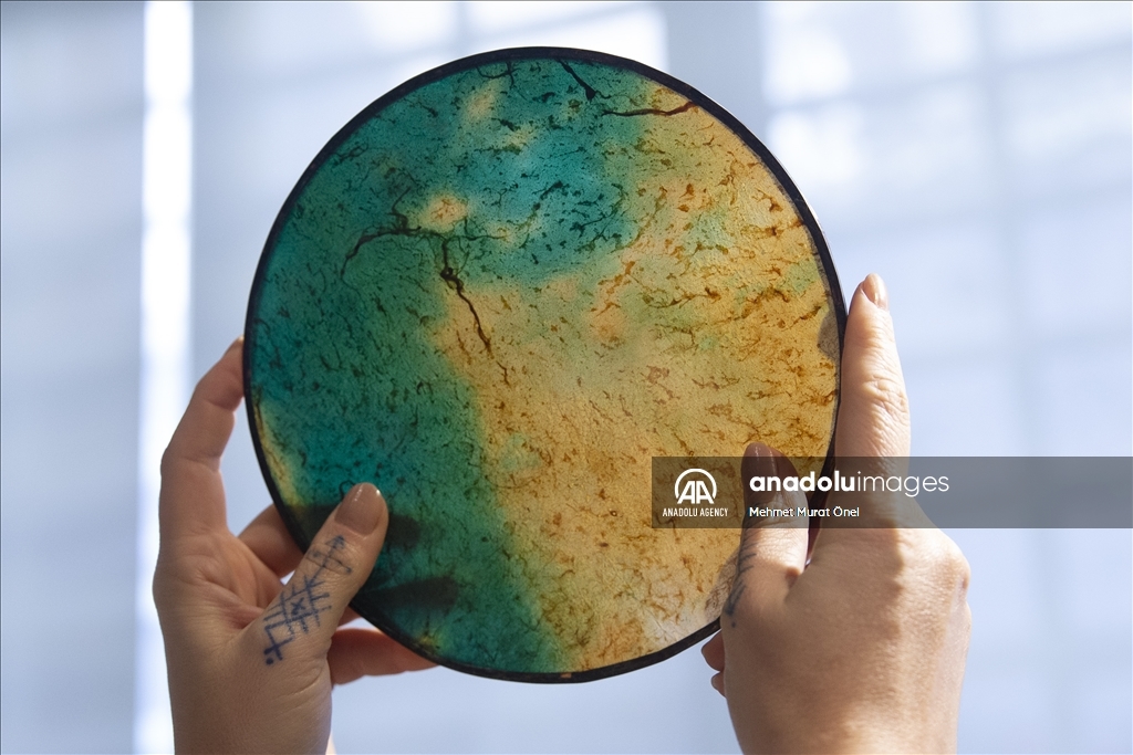 خلق آثار هنری با استفاده از مواد طبیعی توسط هنرمند ترکیه‌ای