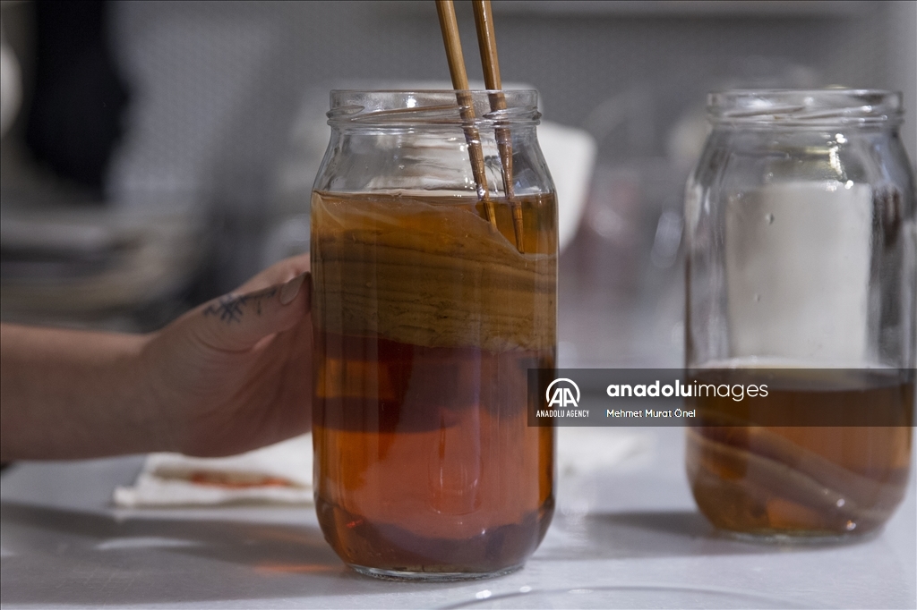 خلق آثار هنری با استفاده از مواد طبیعی توسط هنرمند ترکیه‌ای