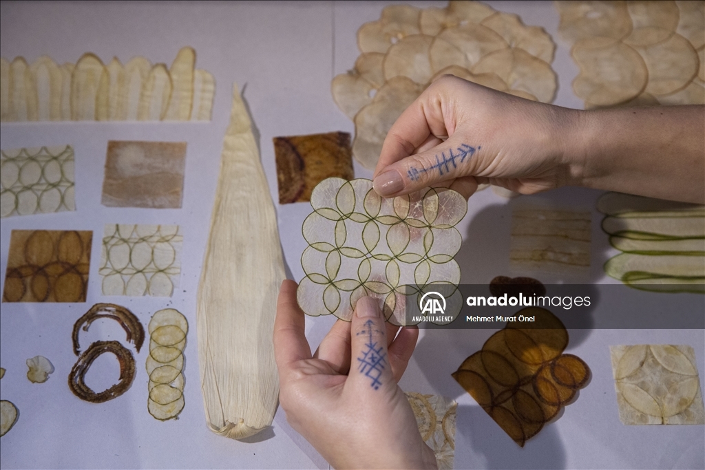 خلق آثار هنری با استفاده از مواد طبیعی توسط هنرمند ترکیه‌ای