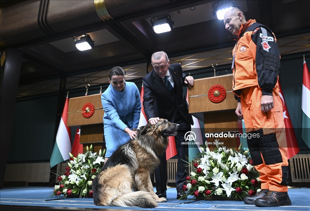 Cumhurbaşkanı Erdoğan, Macaristan Cumhurbaşkanı Novak ile ortak basın toplantısı düzenledi