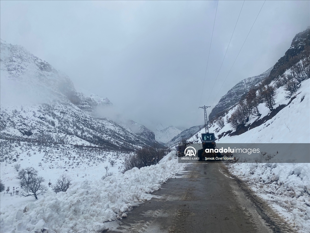 Diyarbakır, Şırnak ve Siirt'te kar etkili oldu