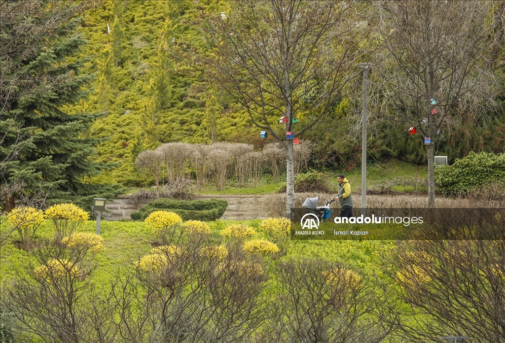 گل‌های بهاری در پارک دیکمن وادیسی آنکارا