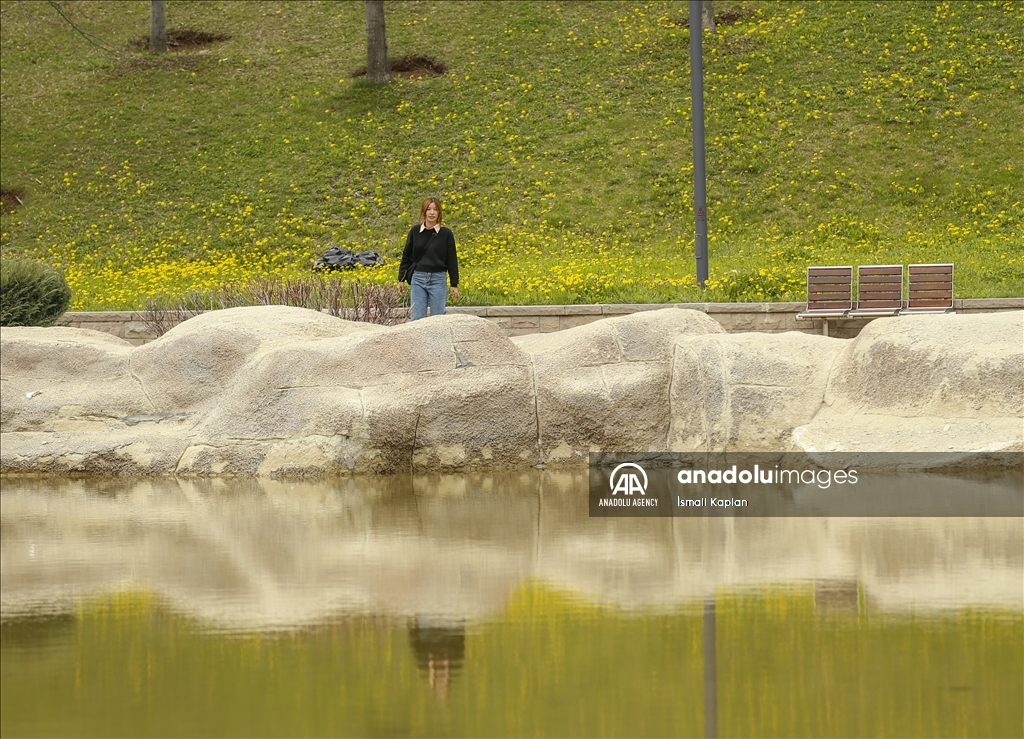 گل‌های بهاری در پارک دیکمن وادیسی آنکارا
